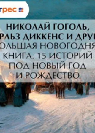 Большая Новогодняя книга. 15 историй под Новый год и Рождество
